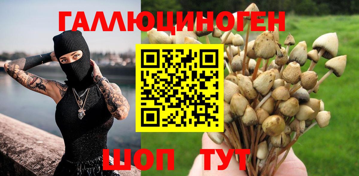 Псилоцибиновые грибы мицелий Каменск-Уральский