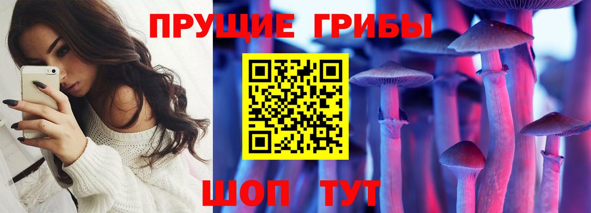 Каменск-Уральский  Галлюциногенные грибы MAGIC MUSHROOMS  цена   Вход с VPN  Галлюциногенные грибы мицелий 